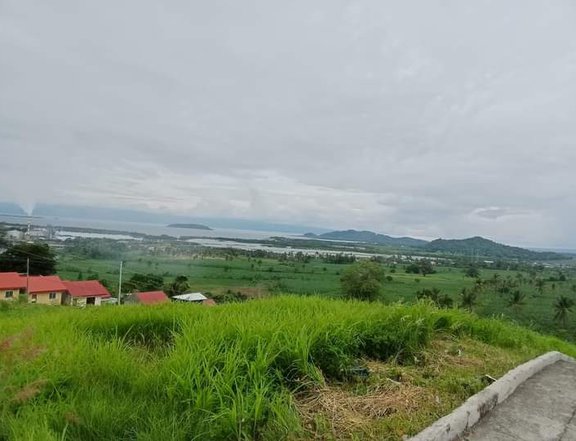 72 sqm Residential Lot For Sale in Bais Negros Oriental