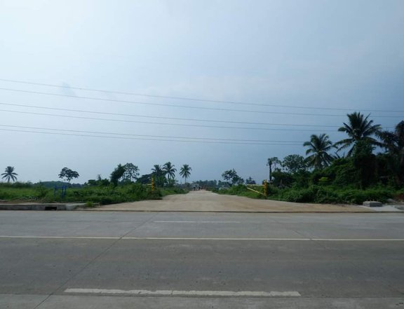 100 sqm Residential Lot For Sale in Amadeo Cavite