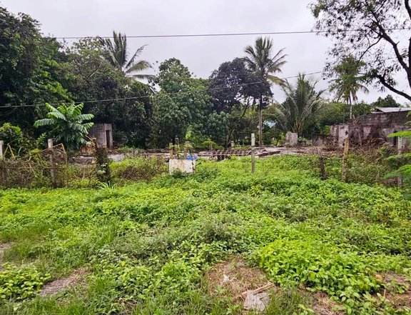 600 square meter commercial lot located on the National Highway in Polomolok, South Cotabato.