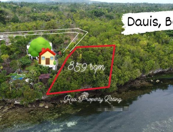 859 sqm Beach Property For Sale in Dauis Bohol