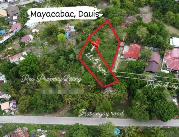 1,116 sqm Residential Lot For Sale in Dauis Bohol