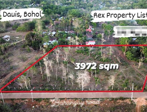 3,972 sqm Residential Lot For Sale in Dauis Bohol