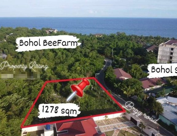 1,278 sqm Residential Lot For Sale in Dauis Bohol