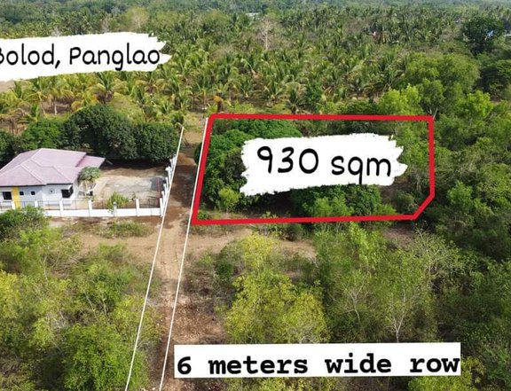 930 sqm Residential Lot For Sale in Panglao Bohol