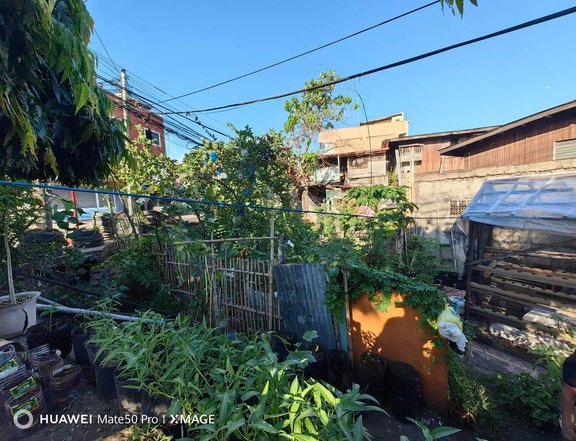 Lot for Sale in Dumaguete City