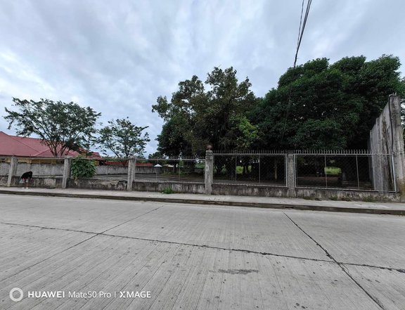 Lot for Sale in Dumaguete City