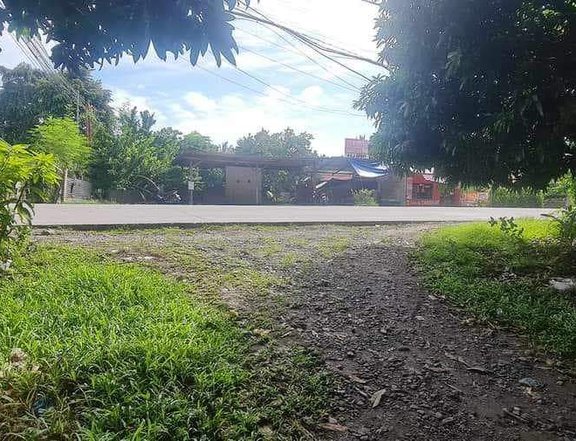 Lot for Sale in Dumaguete City