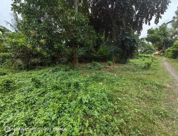 Lot for Lease/Rent in Dumaguete City