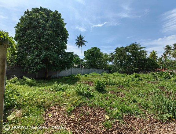 Lot for Sale in Dumaguete City