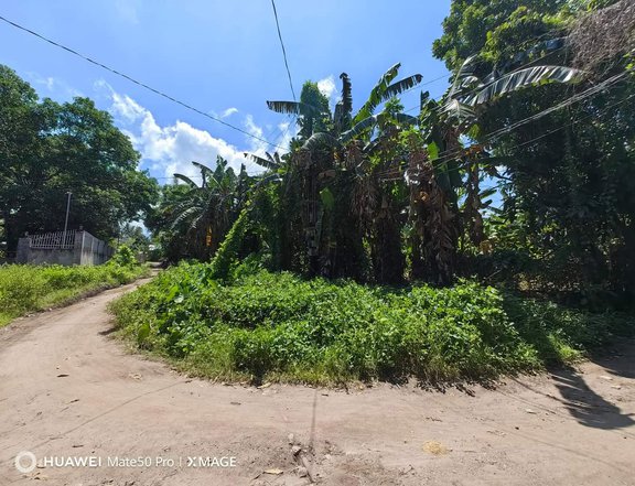 Residential Lot For Sale in Bacong Negros Oriental