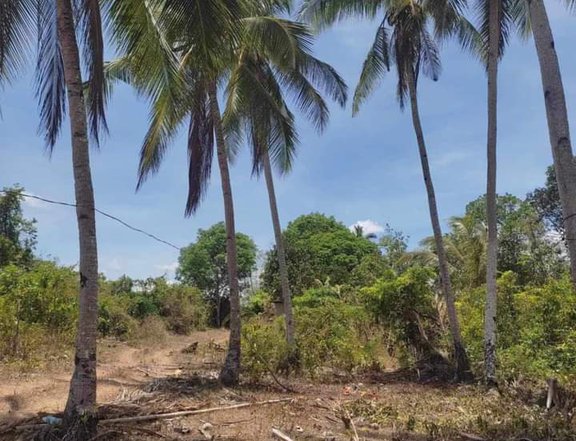 600sqm Residential Farm for Sale in San Lorenzo Guimaras