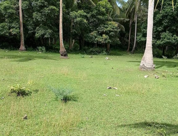 5000 sqm Farm Lot for Sale in Pulong Kamatis, San Juan Batangas
