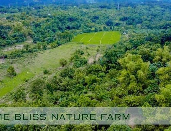 PRIME BLISS FARMLOT FOR SALE