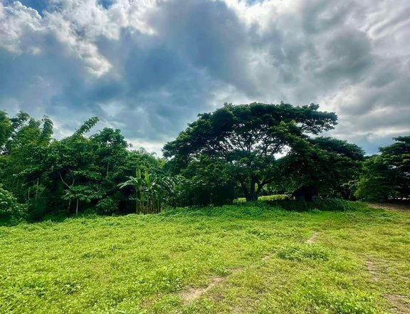 100 sqm Residential Farm For Sale in Taysan Batangas