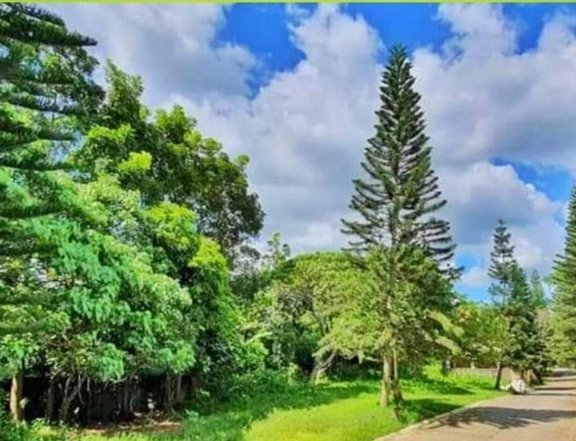 1,466 sqm Residential Lot For Sale in Gabriel Heights Tagaytay Cavite