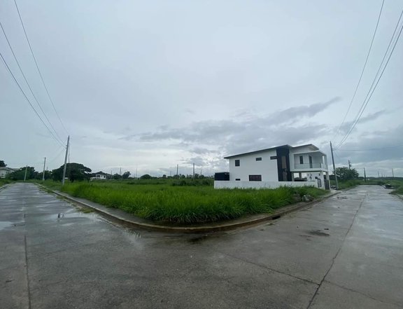 292 sqm Residential Lot For Sale in Mexico Pampanga