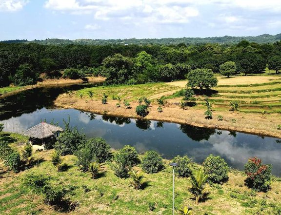 3.5 hectares Stunning Views  Residential Farm with Fishponds  For Sale in Tarlac City