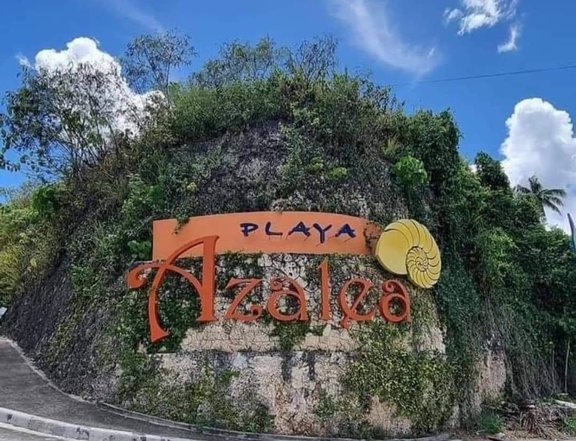 PLAYA AZALEA LOT FOR SALE 265SQM IN CITY OF SAMAL