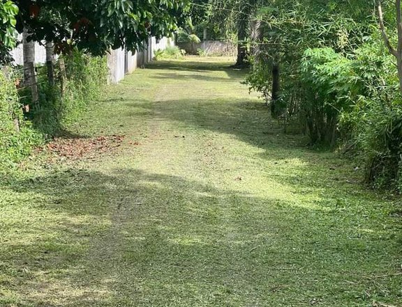 1,242 sqm Residential Farm For Sale in Naga Camarines Sur