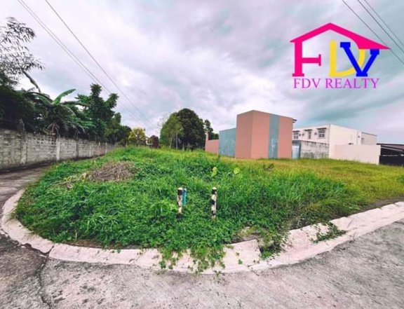 222 sqm Residential Lot For Sale in Naga Camarines Sur