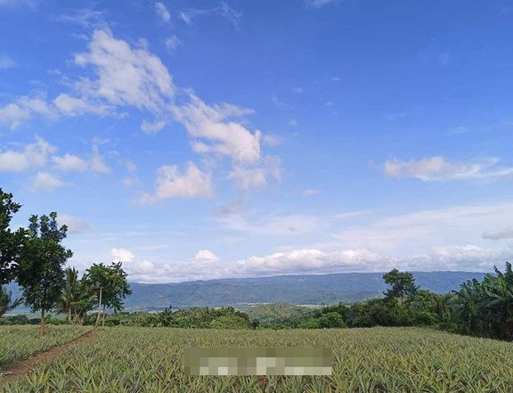 72 sqm Residential Farm For Sale in Pililla Rizal