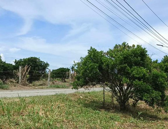 1000sqm at Brgy. Balat Atis San Antonio Quezon