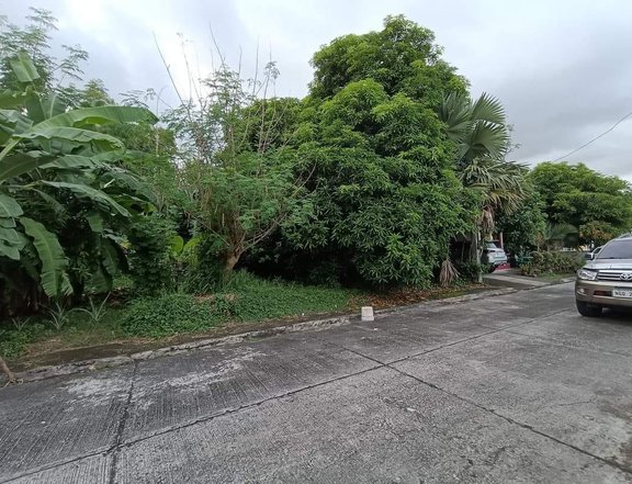 178 sqm Residential Lot For Sale in Imus Cavite