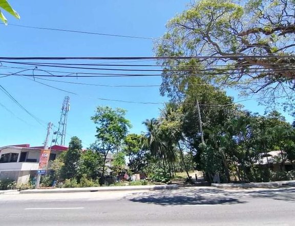 Residential Lot Along Highway Sangat, San Fernando Cebu