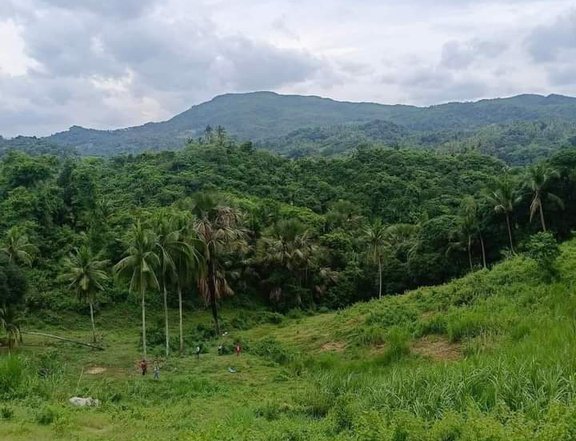 Gamit Dayun Farm Lot in Danao