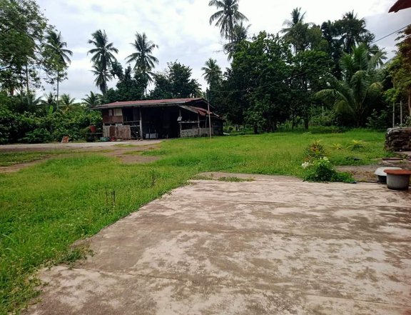 9.6 Hectares Lot for sale in Calinan Davao City