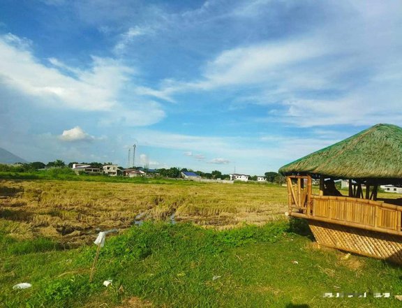 Subdivided Lot Mexico Pampanga