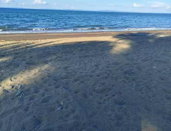 Ready For Occupancy 500 sqm Beach Property For Sale in Infanta Quezon