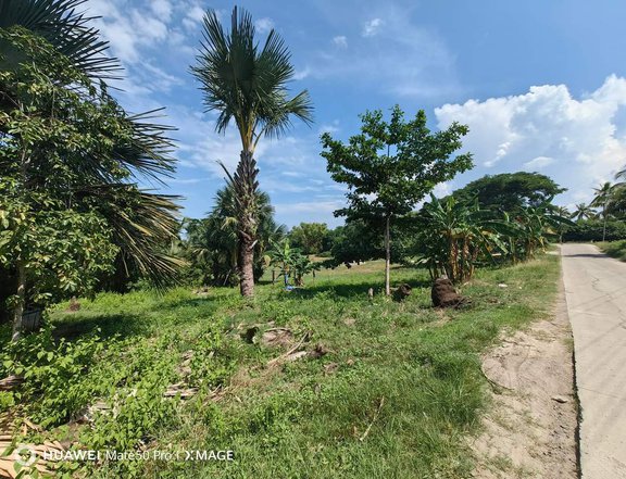 1,500 sqm Residential Farm For Sale in San Jose Negros Oriental