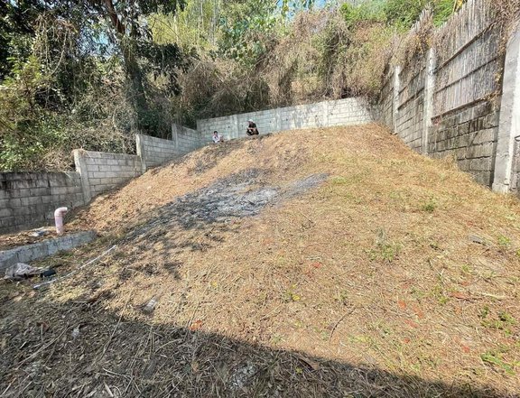 Clean Titled Overlooking Lot FOR SALE in a Flood Free Area at San Fernando City, La Union