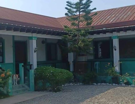 Clean Titled Fully Furnished Elegant House and Lot FOR SALE at San Juan/Lapog, Ilocos Sur