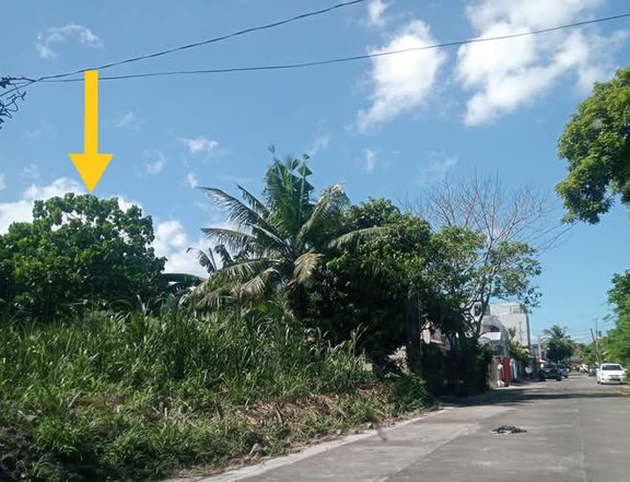 300 sqm Commercial Lot For Sale in Naga Camarines Sur