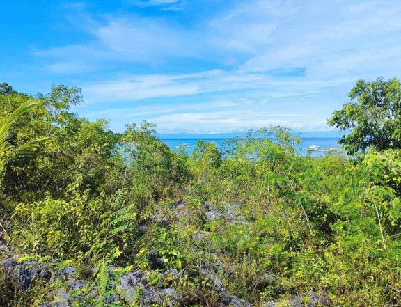 5,410 sqm Beach Property For Sale in Dauis Bohol