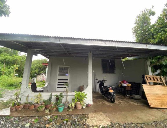 Clean Title Newly Renovated House and Lot FOR SALE along cemented Brgy Road at Rosales, Pangasinan