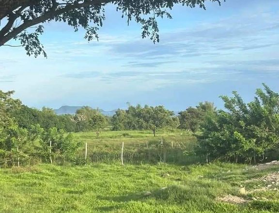 1.2 Hectare Farm Lot for Sale!!