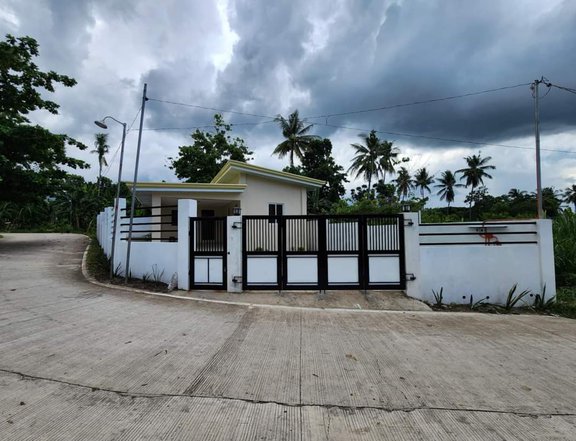 House and Lot for Sale in Valencia Negros Oriental!!