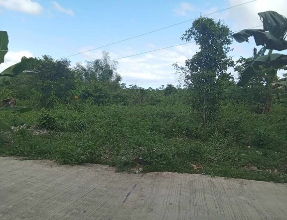 200sqm Titled lot Residential Farm For Sale in Sogod Cebu