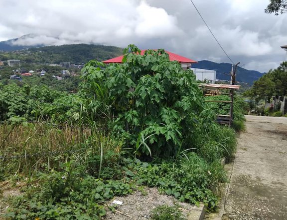 Clean Title Residential Lot FOR SALE at Summer Capital of the Philippines, Baguio City, Benguet