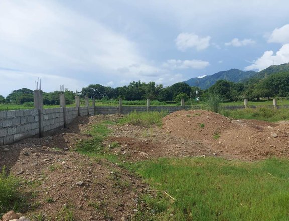 Residential Lot FOR SALE with wall and backfill in a Flood Free Area at Santa, Ilocos Sur