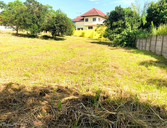 377 sqm Residential Lot For Sale in Metrogate Subdivision, Tagaytay Cavite