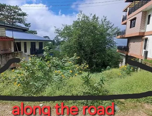 Clean Title Residential Lot FOR SALE along Barangay road at Baguio City, Benguet