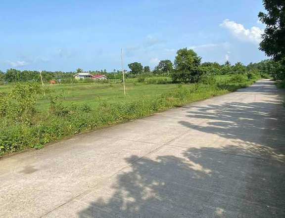 250sqm along the road Residential Farm Lot in Gaban San Lorenzo Guimaras