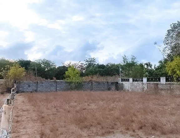 Free Title Transfer  Beach Lot FOR SALE in a Flood Free Area at Bacnotan, La Union