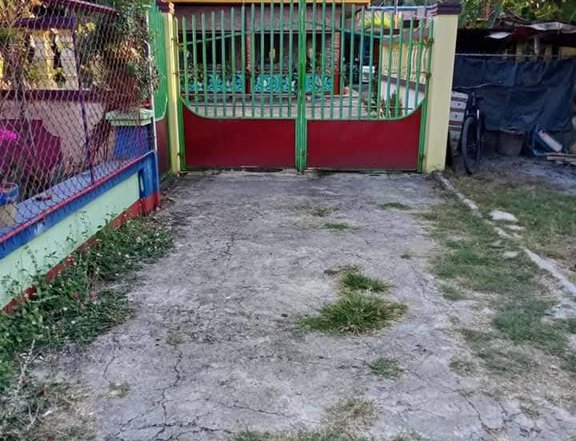 PRICE DROP  Two (2) Houses with Fence FOR SALE in a Flood Free Area at Alaminos City, Pangasinan