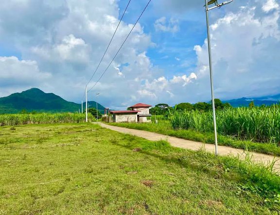 MURANG FARMLOT FOR SALE in nasugbu