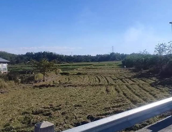 Clean Titled  Residential/Commercial Lot FOR SALE along Diversion Road at Candon City, Ilocos Sur